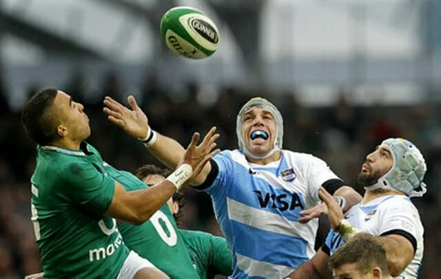Sexton's injury clouds Ireland's victory over Argentina