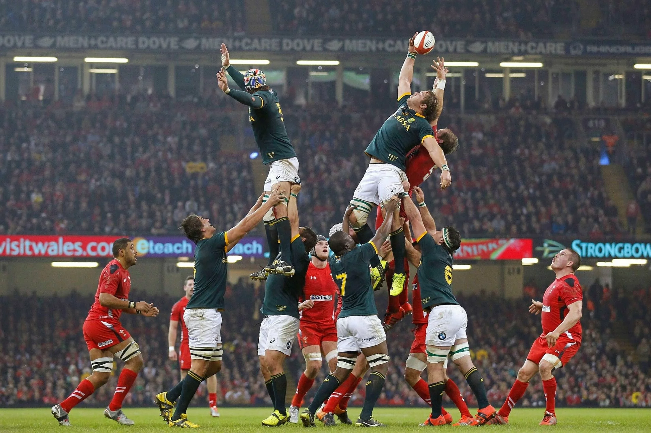 1Wales-South-Africa